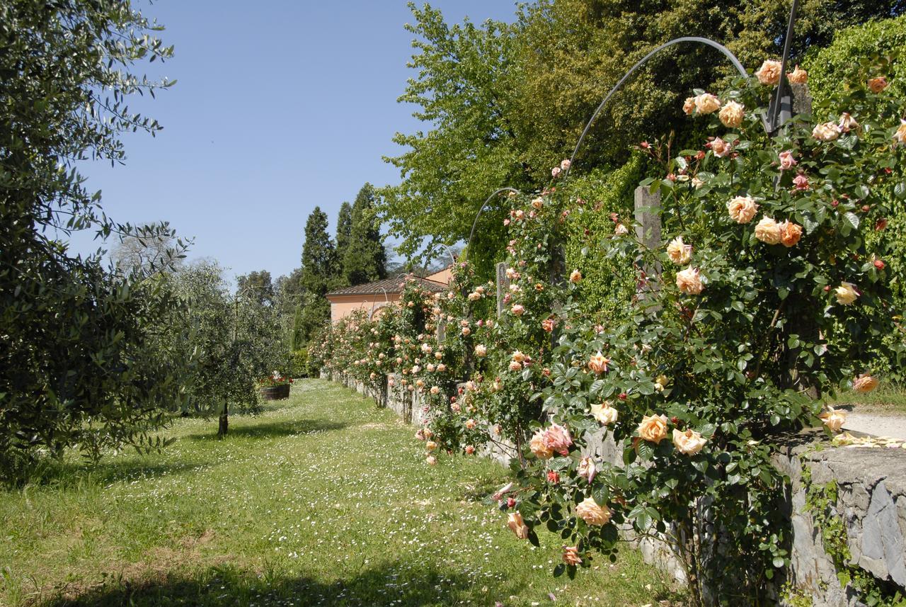 La Chiusa Di Nanni Piaggiori 외부 사진